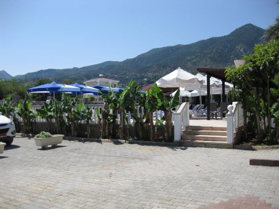 Treppe zum Pool / Terrasse Club Alda Hotel