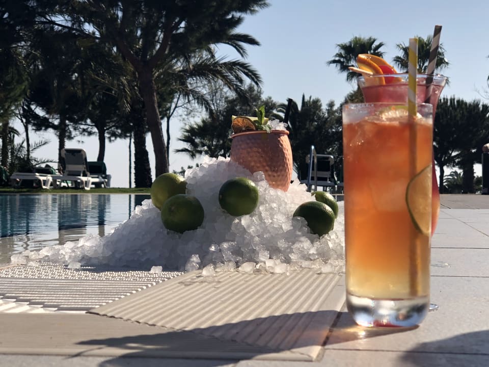 Gastro ROBINSON QUINTA DA RIA