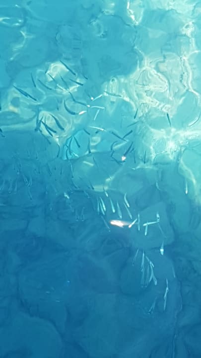 Strand Hotel Pine Bay Holiday Resort