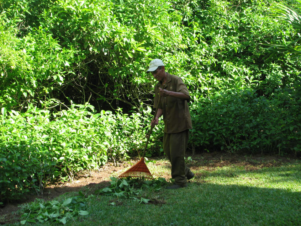 Schadensbeseitigung Catalonia Playa Maroma