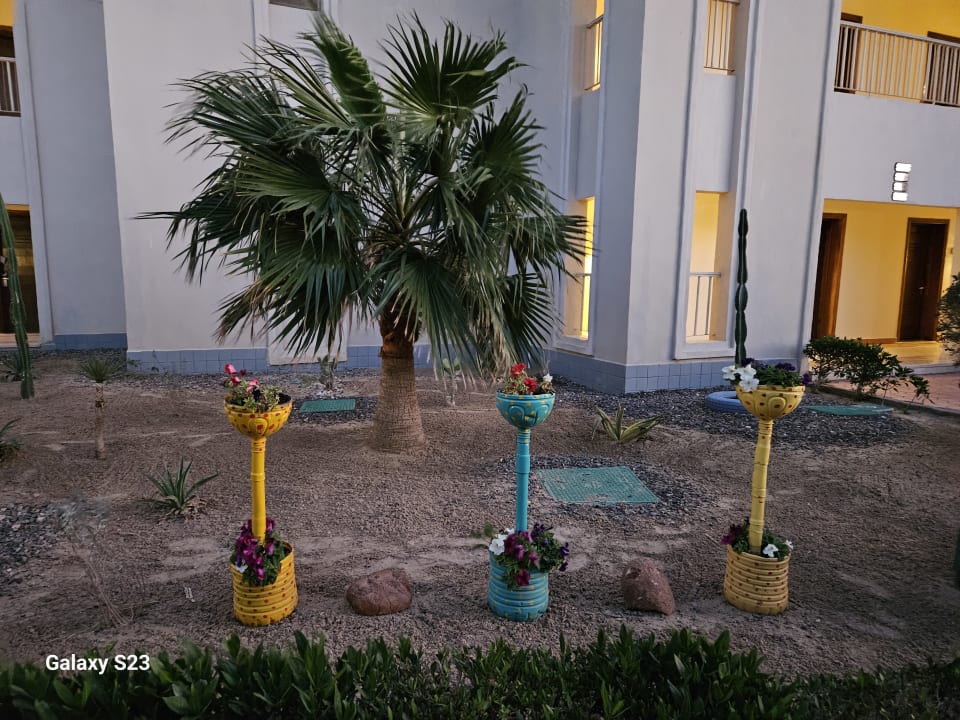 Gartenanlage Jaz Soma Beach