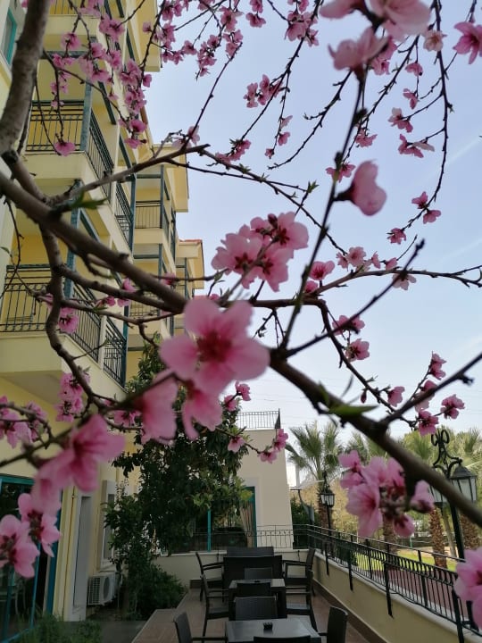 Gastro Dosi Hotel