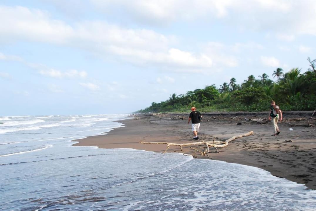 Schildistrand Tortuguero Hotel Pachira Lodge