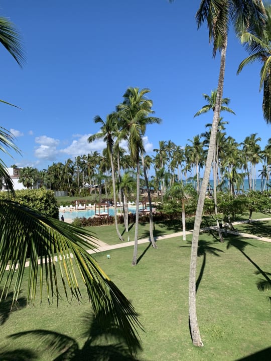 Pool Viva V Samana by Wyndham – Adults Only