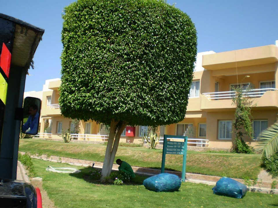 Gartenanlage Golden Beach Resort