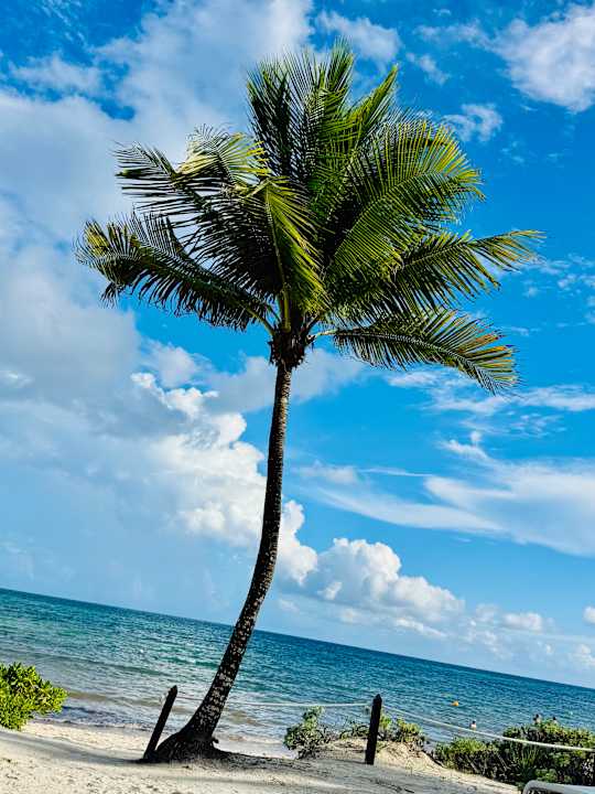 Strand TRS Yucatan Hotel - Adults only