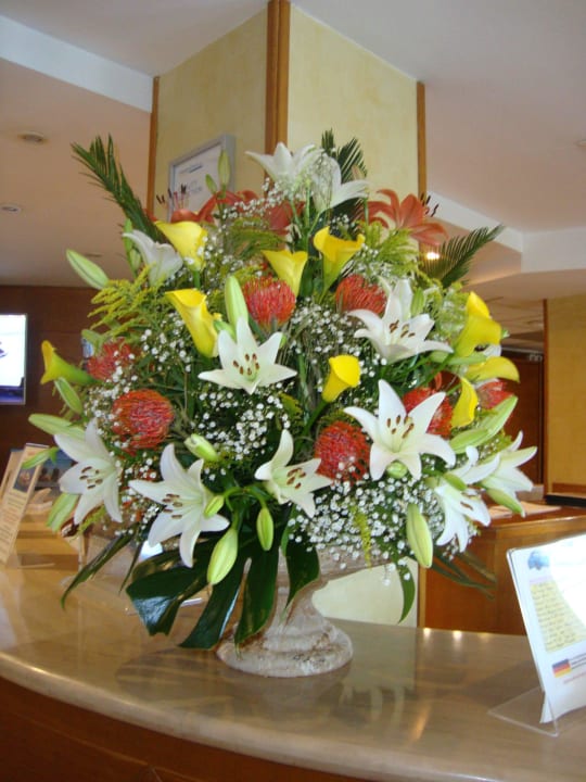 An der Reception Valentin Somni Hotel & Suites