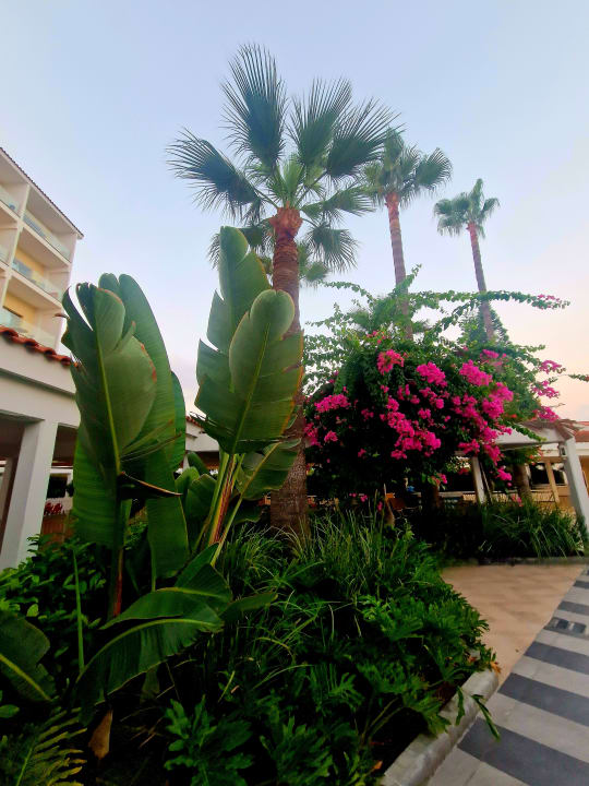 Gartenanlage Atlantica Aeneas Resort