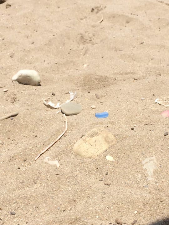 Dreckiger Strand  Fodele Beach & Water Park Holiday Resort