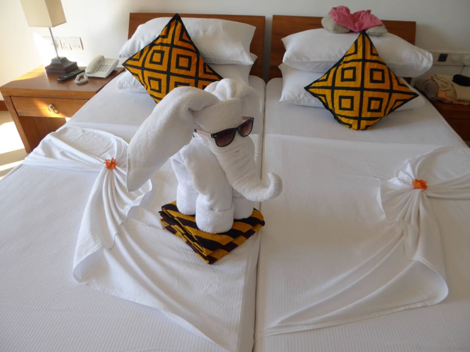 Hotelzimmer Goldi Sands Hotel