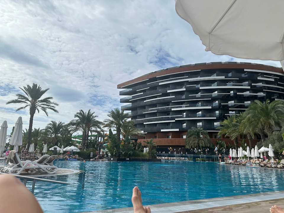 Pool Calyptus Kirman Premium