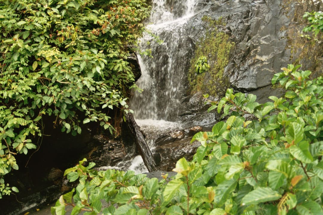 Hotel Pelangi Beach Resort Pelangi Beach Resort & Spa