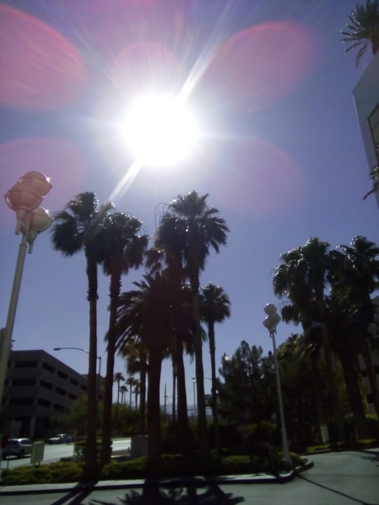 Gartenanlage Trump International Hotel Las Vegas