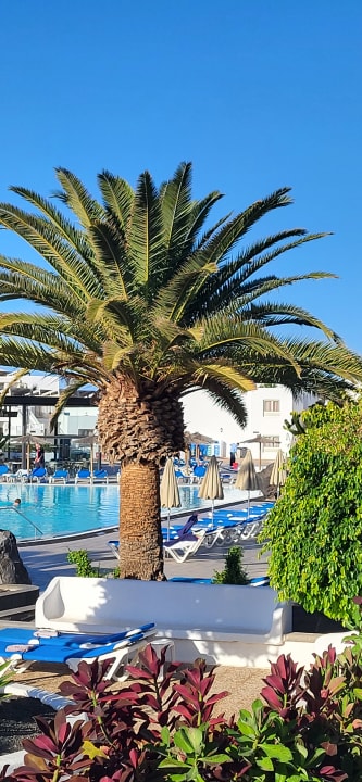 Außenansicht Hotel Floresta