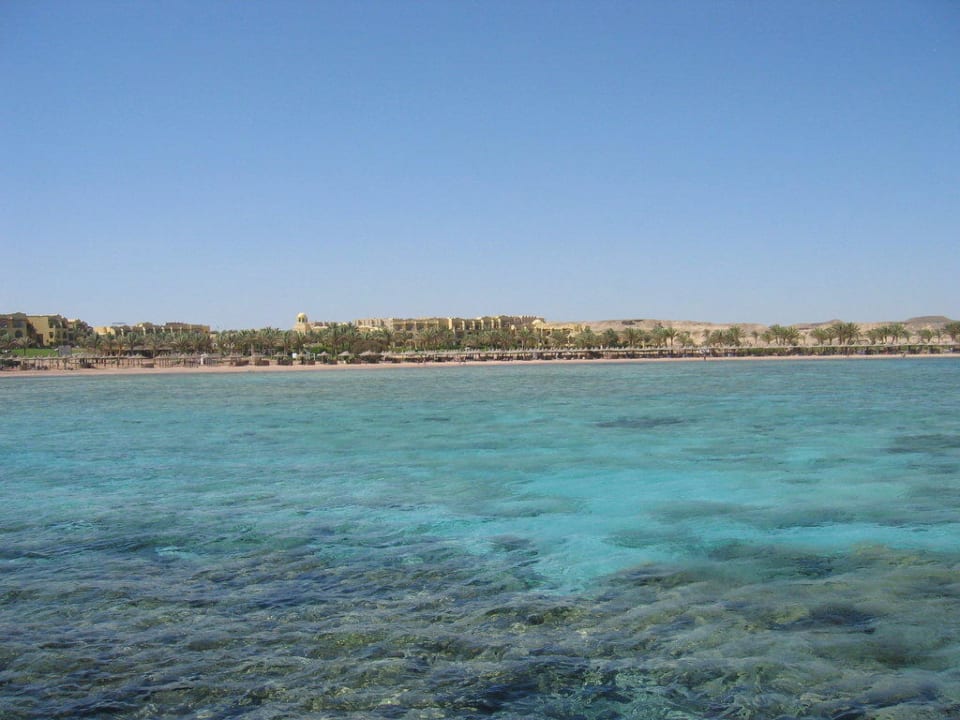 Coraya Beach Steigenberger Coraya Beach - Adults only