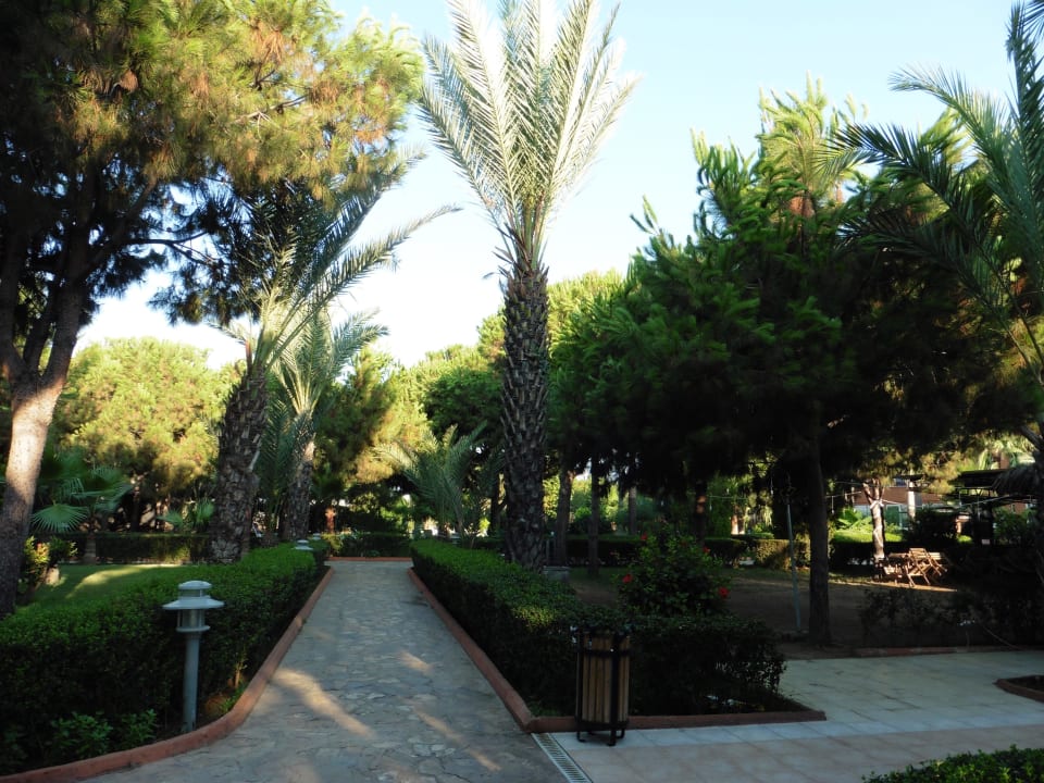 Gartenanlage Club Turtas Beach Hotel