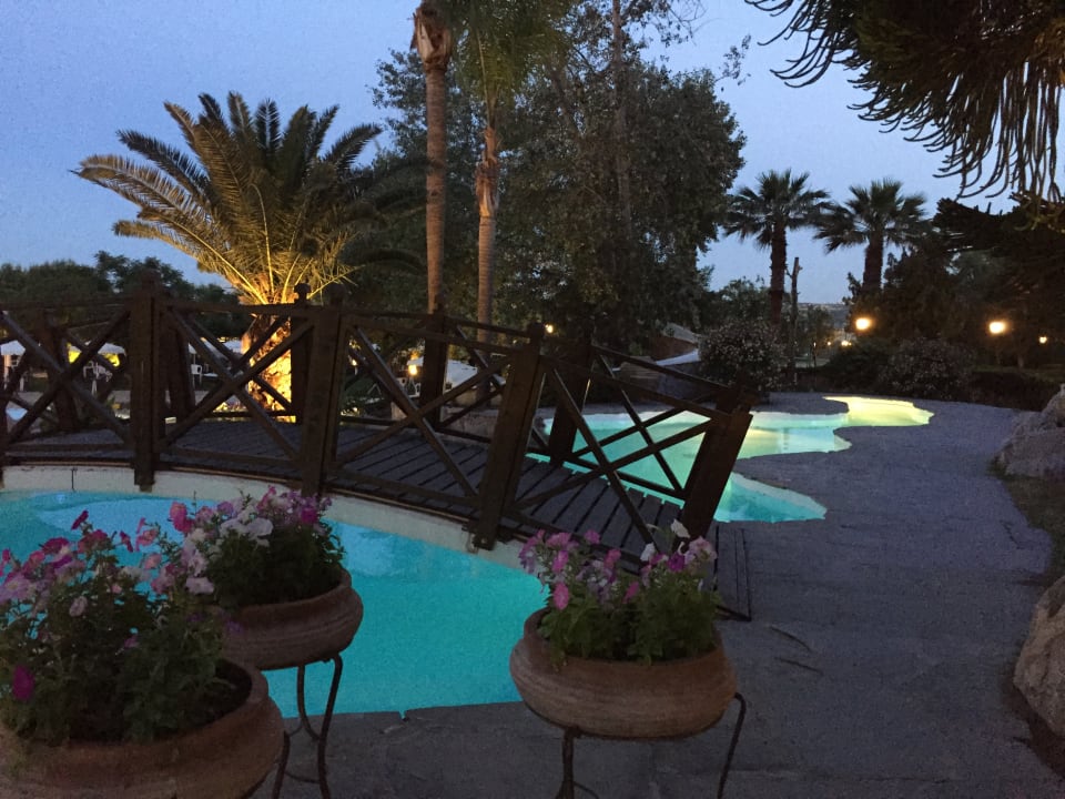 Gartenanlage Hotel Calypso Beach