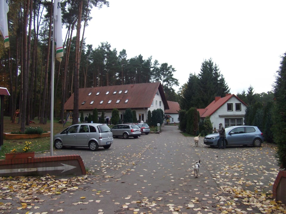 Die Zimmer sind im Hauptgebäude, unter dem Dach. Haus Waldesruh