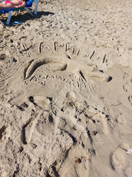 Strand Playabachata Hotel