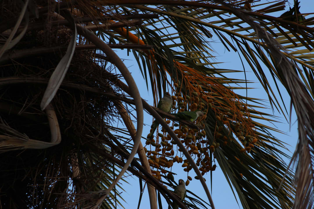 Natur ganz nah HL Miraflor Suites Hotel