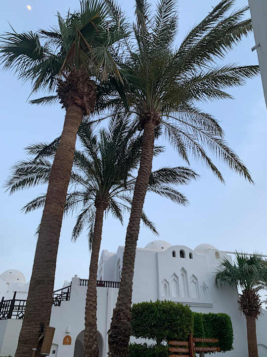 Gartenanlage Arabella Azur Resort
