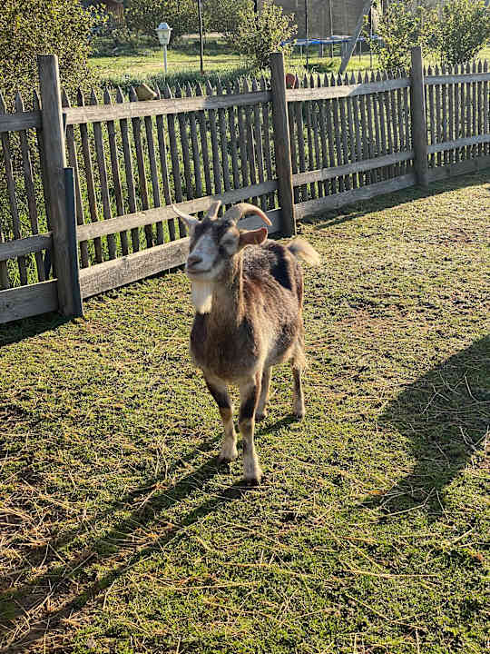 Gartenanlage Familotel Der Böhmerwald - Euer Familienhotel im Bayerischen Wald