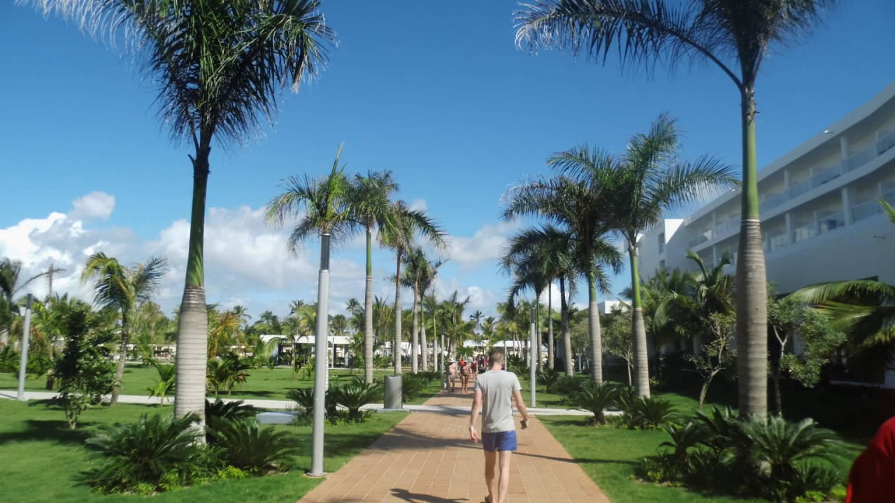 Weg zum Strand Hotel Riu Republica - Adults only