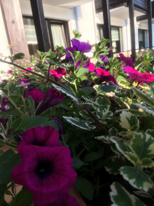 Balkon Romantischer Winkel RoLigio® & Wellness Resort