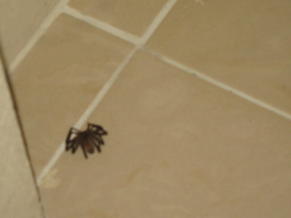 Zimmer Villas Bavaro Resort & Spa