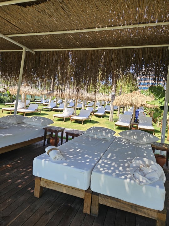 Strand Rubi Platinum Sign