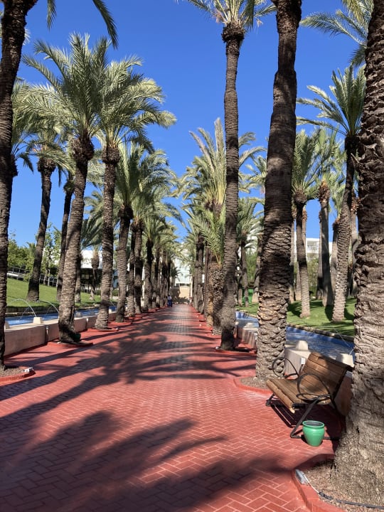 Gartenanlage Monachus Family Resort Sorgun