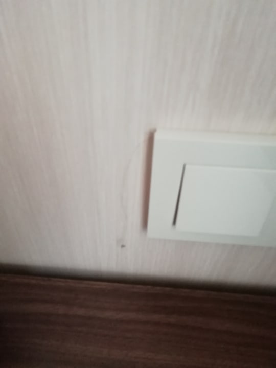 Zimmer Hawaii Suite Beach Hotel