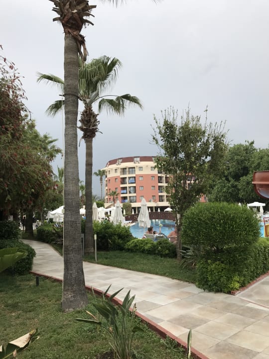 Gartenanlage Palmeras Beach Hotel