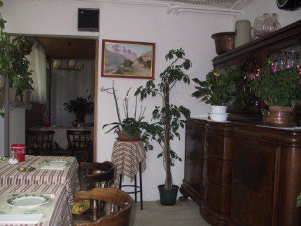 Giardino di inverno Hotel Camelia