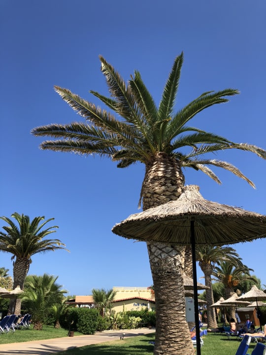 Pool Anissa Beach & Village