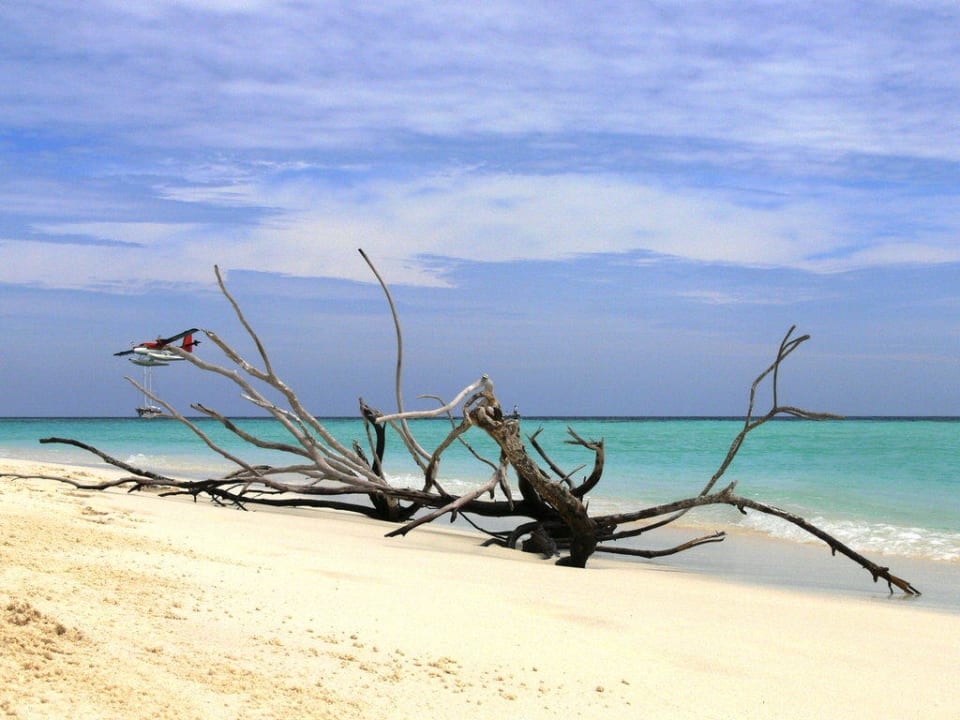 Strandaufnahme Kuredu Island Resort & Spa