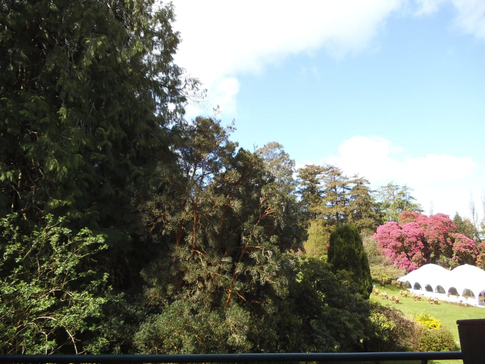 Grünanlage Maryborough Hotel & Spa