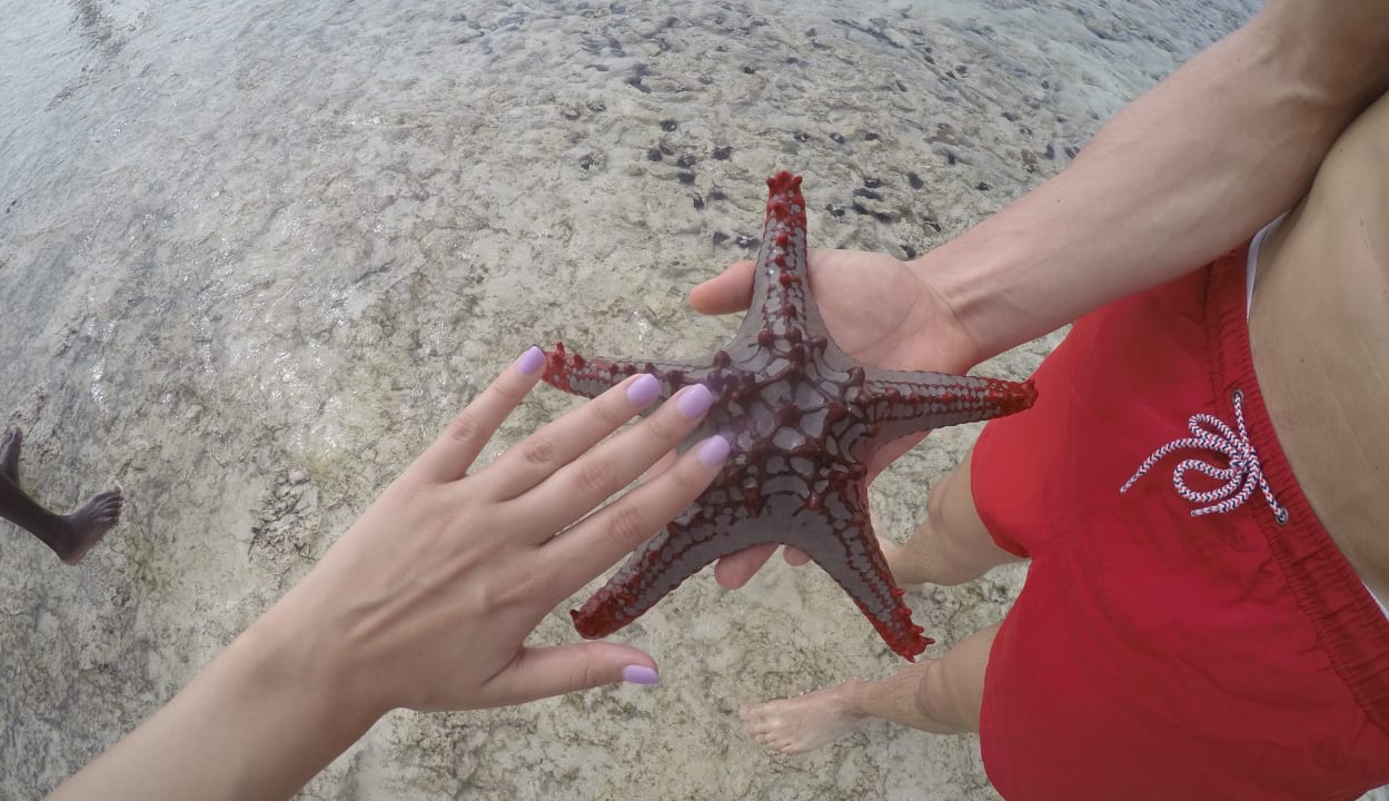 Strand Diani Sea Resort