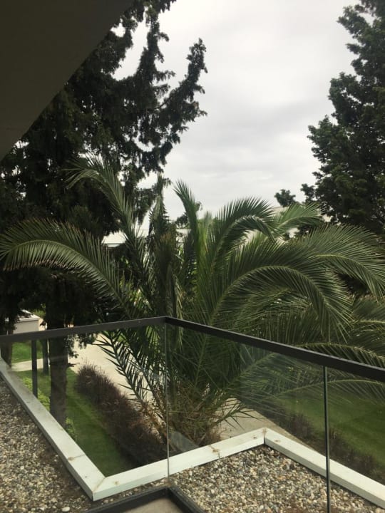 Gartenanlage Paloma Finesse