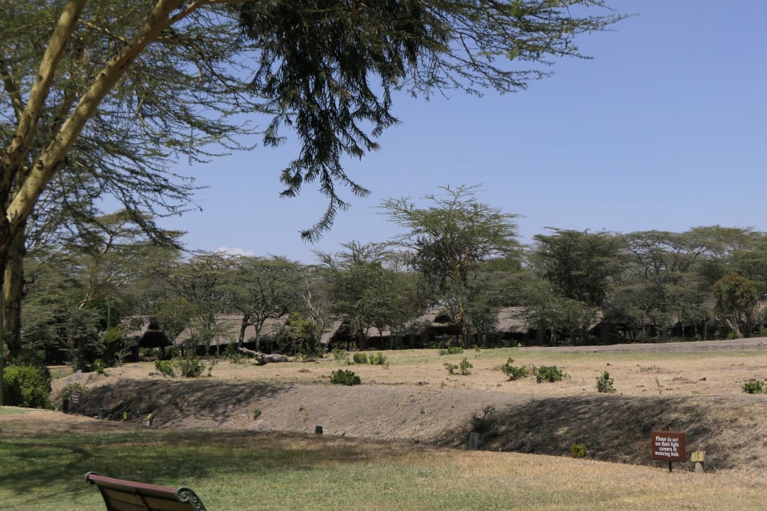 Zimmer Sweetwaters Tented Camp