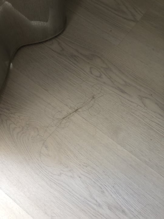 Zimmer Alcudia Garden Aparthotel