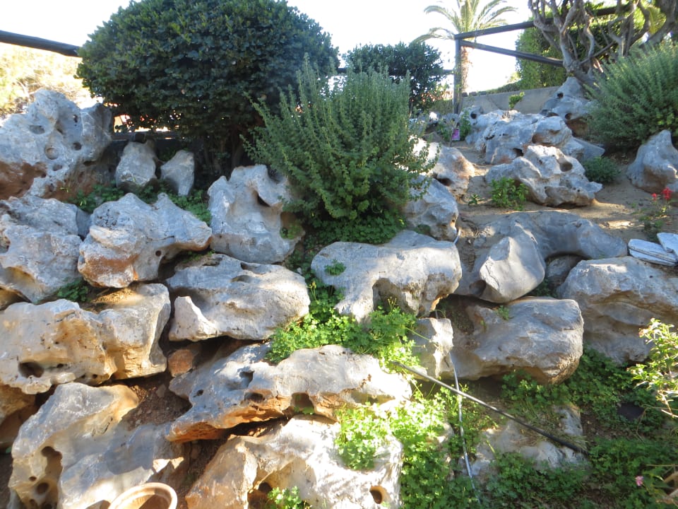 Ein Rundgang durch die Gartenanlage Anissa Beach & Village