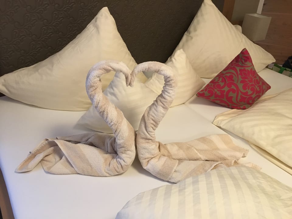 Schwäne im Bett Parkhotel Burgmühle