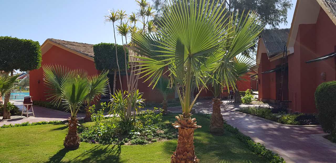 Garten Pickalbatros Jungle Aqua Park Resort - Neverland Hurghada