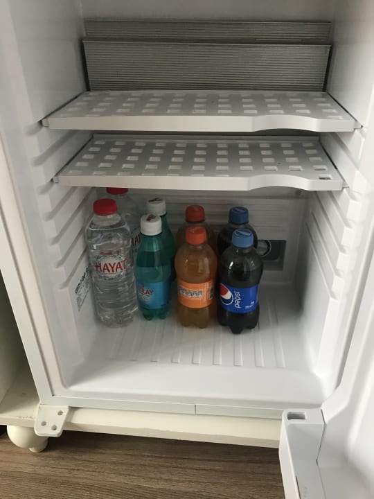 Zimmer Well Palace Side