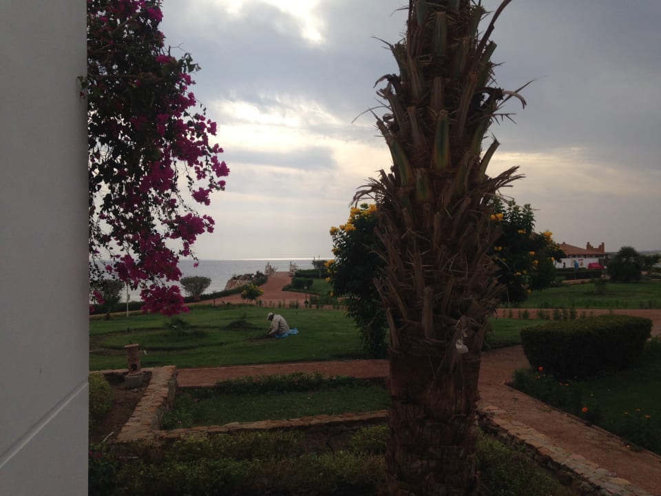 Ausblick Three Corners Equinox Beach Resort