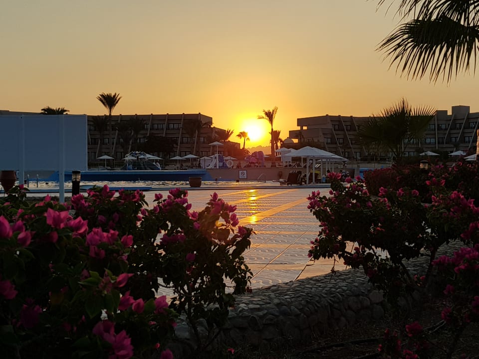 Außenansicht Pharaoh Azur Resort