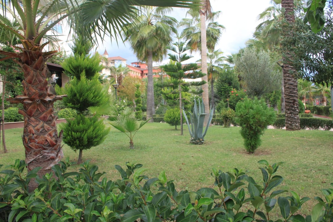 Ляпота Saphir Hotel & Villas