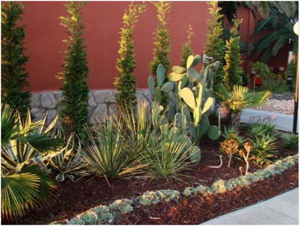 Kakteen Ephesia Holiday Beach Club