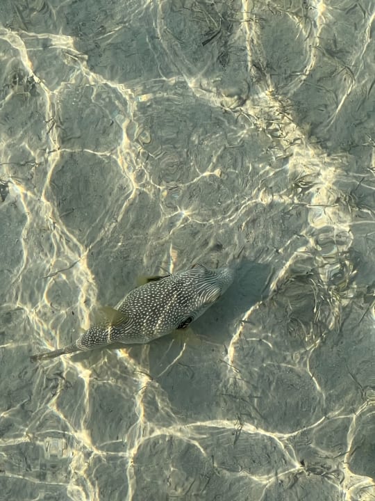 Strand Casa Mare Resort